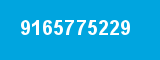 9165775229
