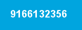 9166132356