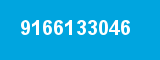 9166133046