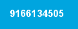 9166134505