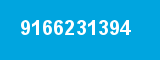 9166231394