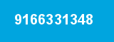 9166331348
