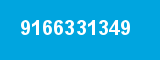 9166331349