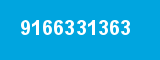9166331363
