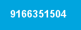 9166351504