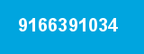 9166391034