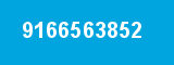 9166563852