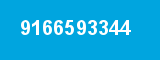 9166593344 9166593344