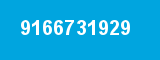 9166731929 9166731929
