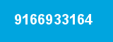 9166933164