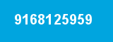 9168125959