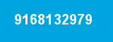 9168132979