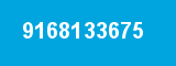 9168133675
