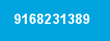 9168231389
