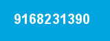 9168231390