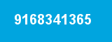 9168341365