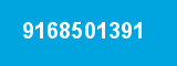 9168501391