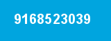9168523039