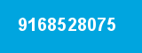 9168528075