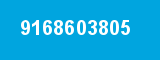 9168603805