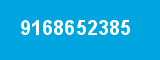 9168652385
