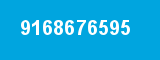 9168676595