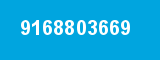 9168803669