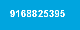 9168825395