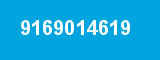 9169014619