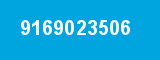 9169023506