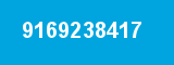 9169238417