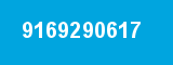 9169290617