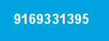 9169331395