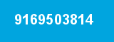 9169503814