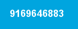9169646883