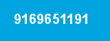 9169651191