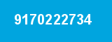 9170222734