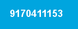 9170411153