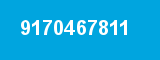 9170467811