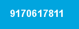 9170617811