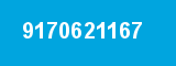 9170621167