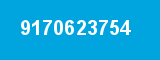 9170623754