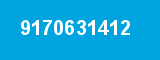 9170631412