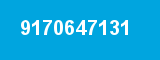 9170647131