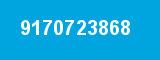 9170723868