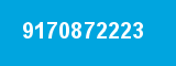 9170872223