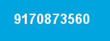 9170873560