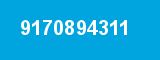 9170894311