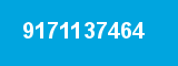9171137464