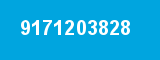 9171203828 9171203828